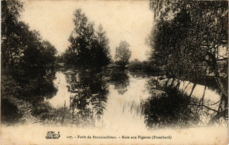 Carte postale ancienne Foret de Fontainebleau - Mare aux Pigeons (Franchard) à Fontainebleau