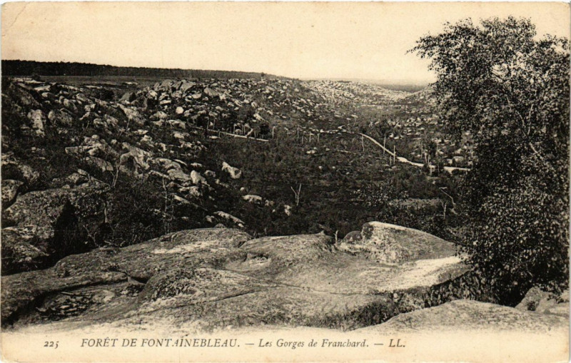 Carte postale ancienne Foret de Fontainebleau - Les Gorges de Franchard à Fontainebleau
