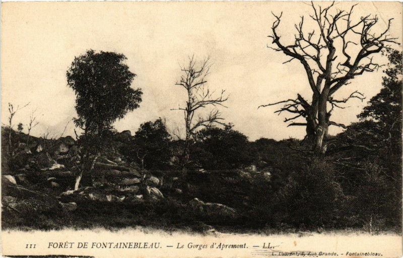 Carte postale ancienne Foret de Fontainebleau - Le Gorges d'Apremont à Fontainebleau