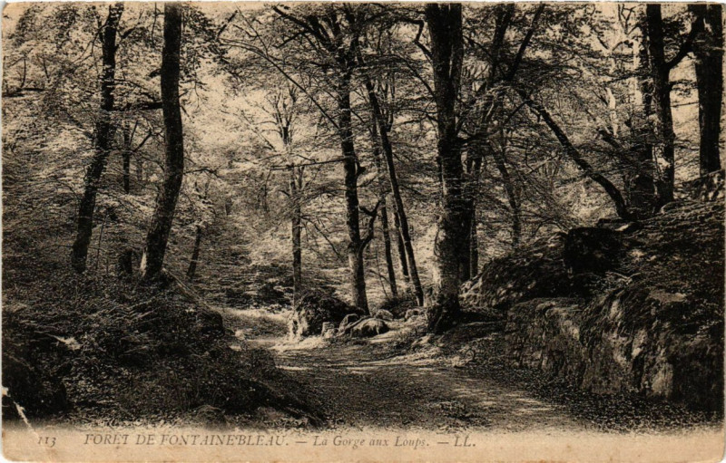 Carte postale ancienne Foret de Fontainebleau - La Gorge aux Loups à Fontainebleau