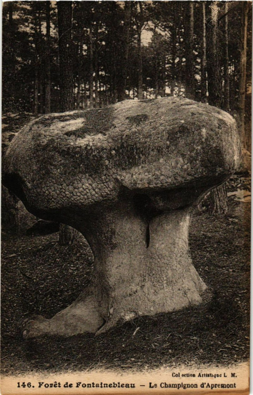 Carte postale ancienne Foret de Fontainebleau - La Champignon d'Apremont à Fontainebleau