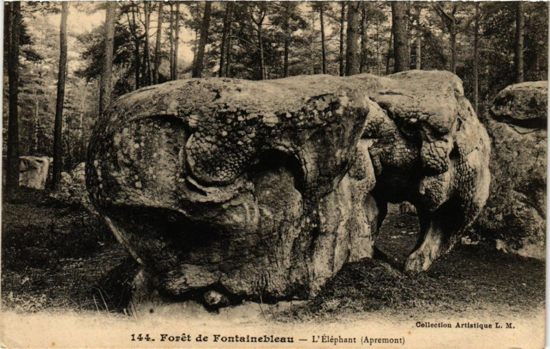 Carte postale ancienne Foret de Fontainebleau - L'Elephant (Apremont) à Fontainebleau