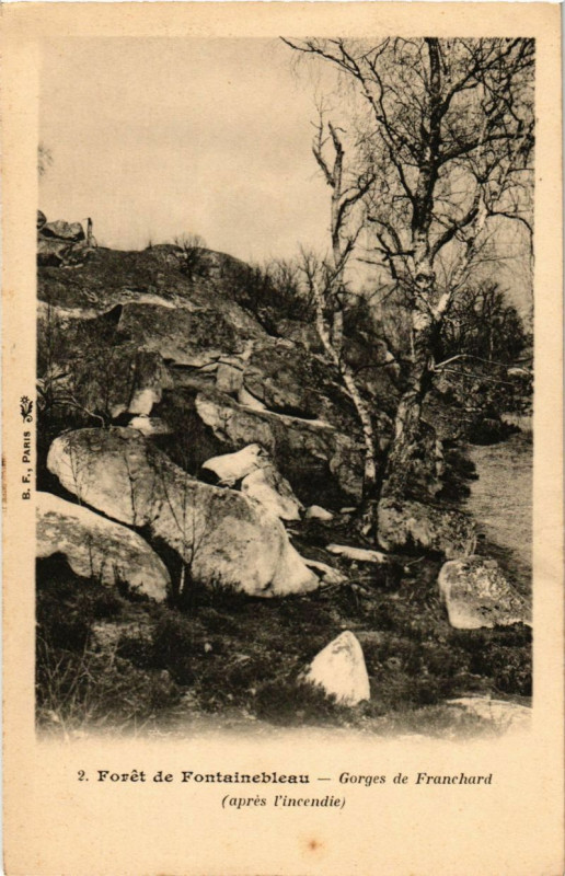 Carte postale ancienne Foret de Fontainebleau - Gorges de Franchard (apres l'incendie) à Fontainebleau