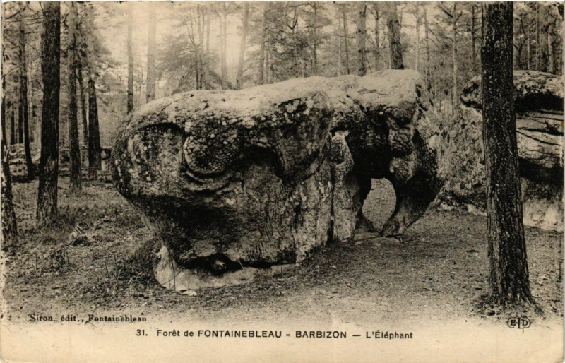 Carte postale ancienne Foret de Fontainebleau - Barbizon - L'Elephant à Fontainebleau