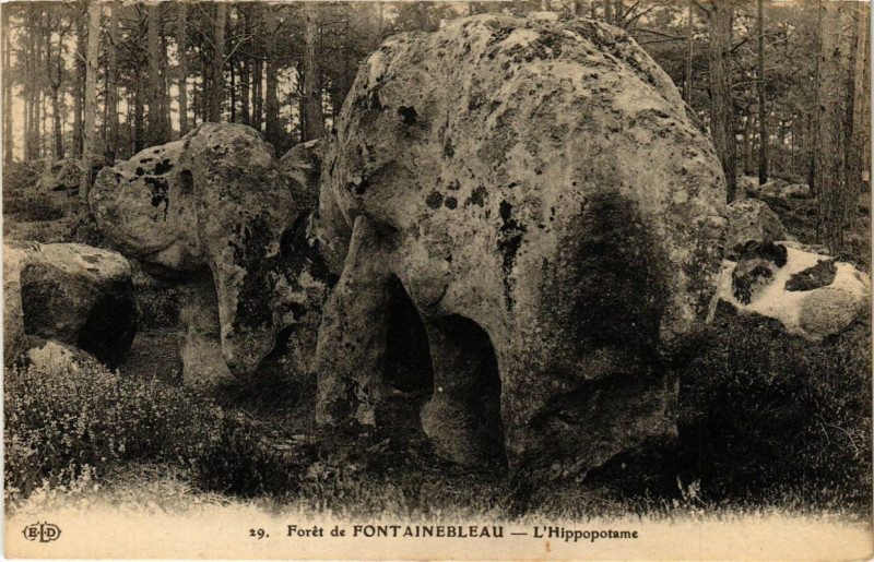 Carte postale ancienne Foret de Fontainebleau - L'Hippodrome à Fontainebleau