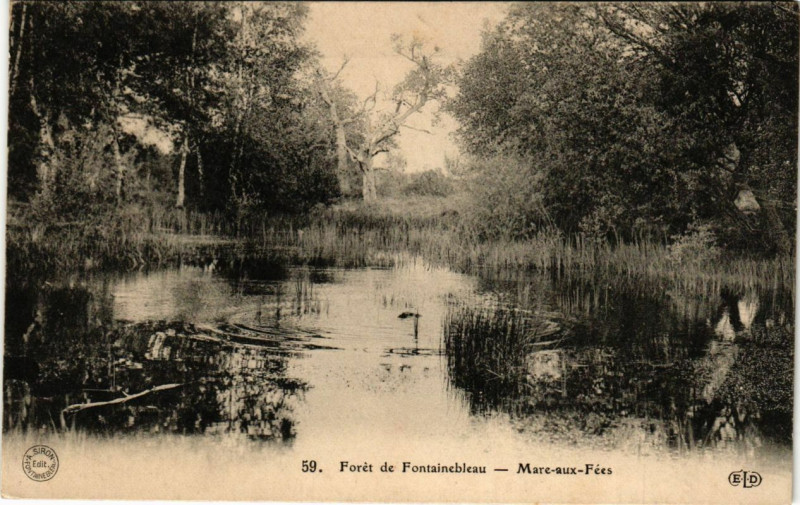 Carte postale ancienne Foret de Fontainebleau - Marc-aux-Fées à Fontainebleau