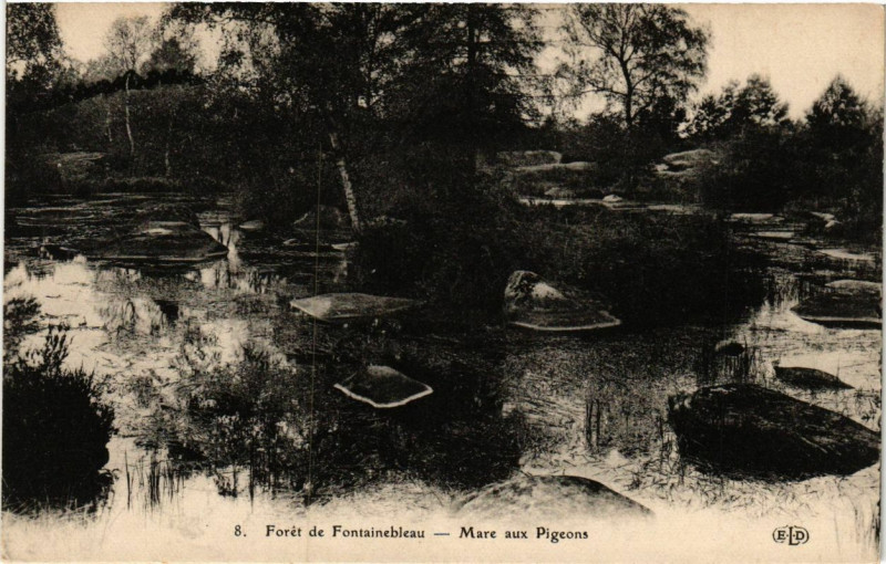 Carte postale ancienne Foret de Fontainebleau - Mare aux Pigeons à Fontainebleau