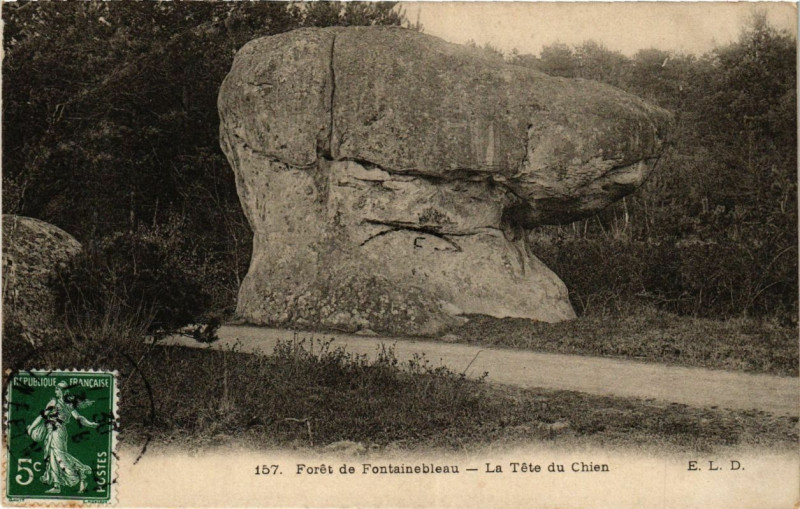 Carte postale ancienne Foret de Fontainebleau - La Tete du Chen à Fontainebleau