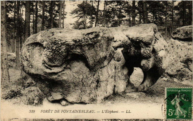 Carte postale ancienne Foret de Fontainebleau - L'Elephant à Fontainebleau