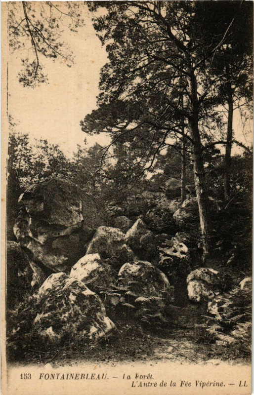 Carte postale ancienne Fontainebleau - La Foret - L'Antre de la Fée Viperine à Fontainebleau