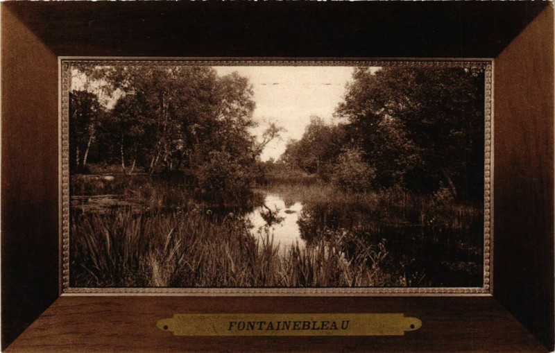 Carte postale ancienne Fontainebleau - La Foret - La Mare aux Fées à Fontainebleau