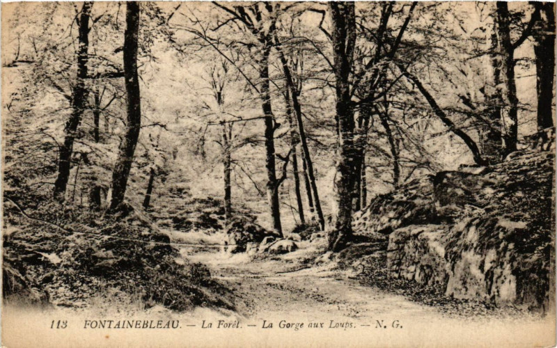 Carte postale ancienne Fontainebleau - La Foret - La Gorge aux Loups à Fontainebleau