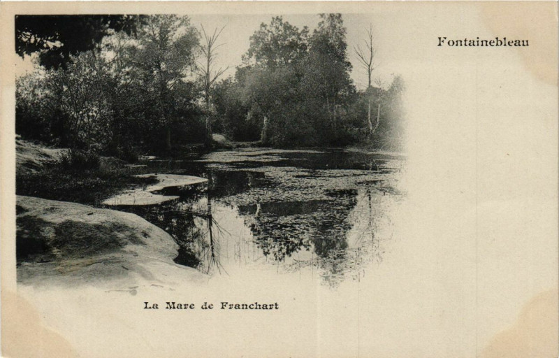 Carte postale ancienne Fontainebleau - La Mare de Franchart à Fontainebleau