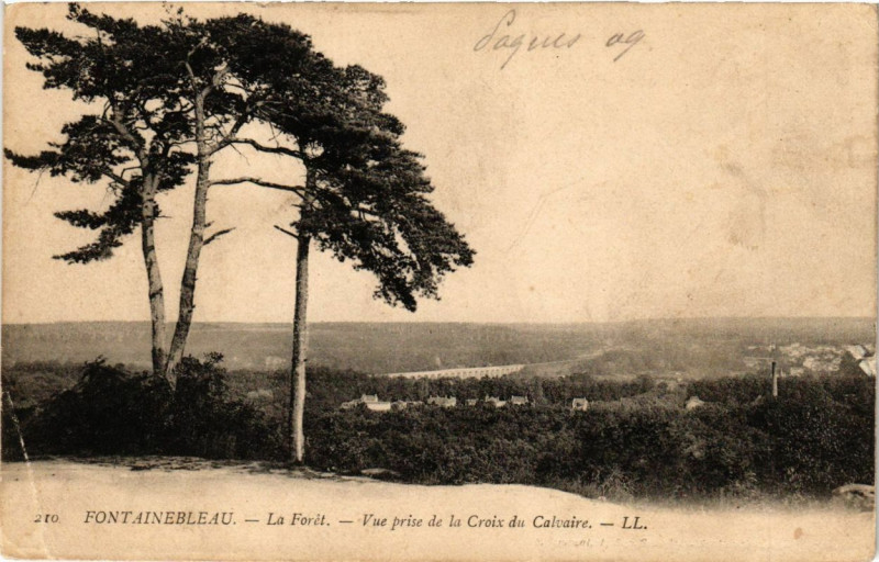 Carte postale ancienne Fontainebleau - La Foret - Vue prise dela Croix du Calvaire à Fontainebleau