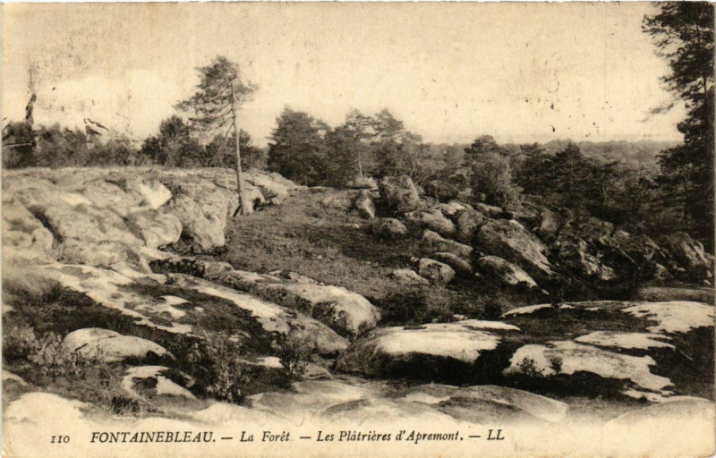 Carte postale ancienne Fontainebleau - La Foret - Les Platrieres d'Apremont à Fontainebleau