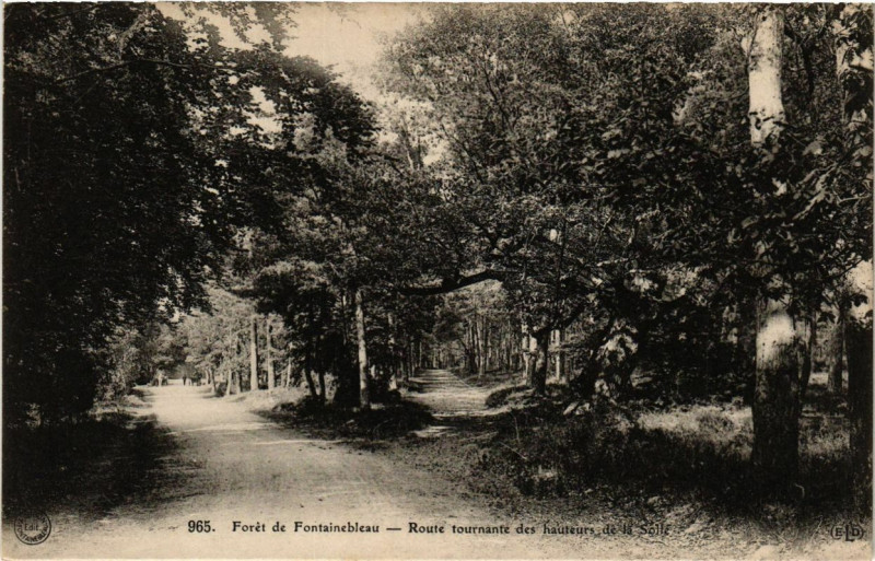 Carte postale ancienne Foret de Fontainebleau - Route Tournante des hauteurs de la Soile à Fontainebleau