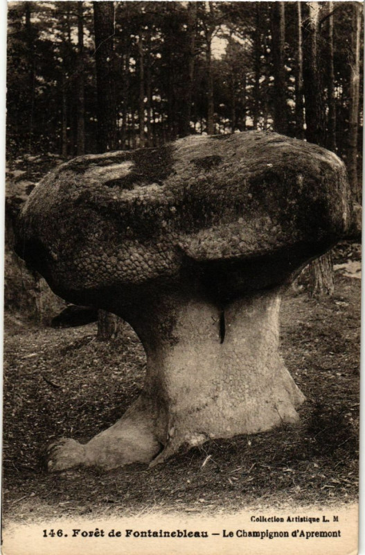 Carte postale ancienne Foret de Fontainebleau - Le Champignon d'Apremont à Fontainebleau