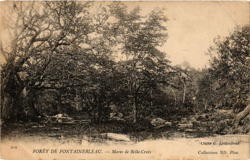 Carte postale ancienne Foret de Fontainebleau - Mares de Belle-Croix à Fontainebleau