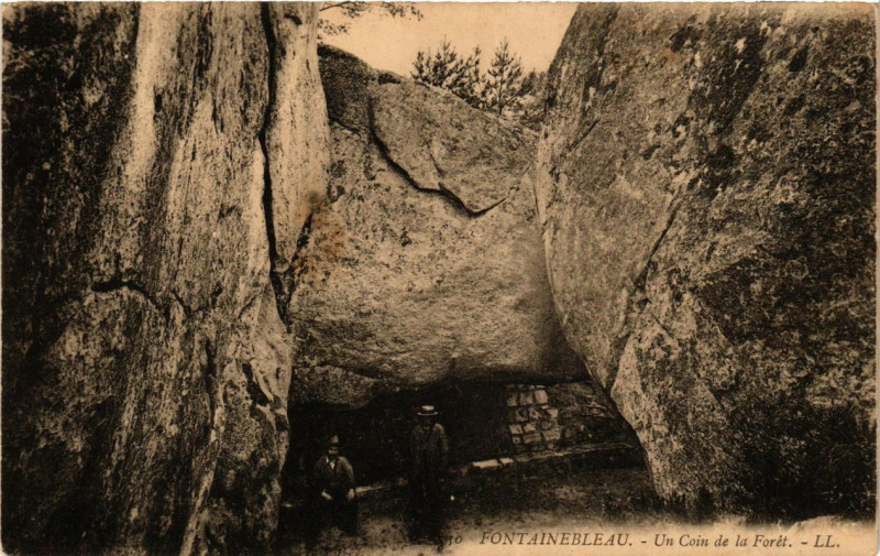 Carte postale ancienne Fontainebleau - Un Coin de Foret à Fontainebleau
