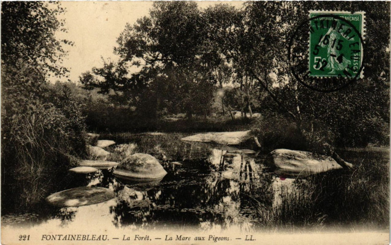 Carte postale ancienne Fontainebleau - La Foret - La Mare aux Pigeons à Fontainebleau