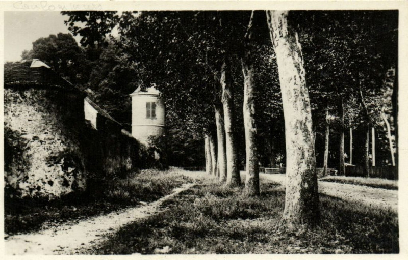 Carte postale ancienne Coulommiers - Les anciens remparts à Coulommiers