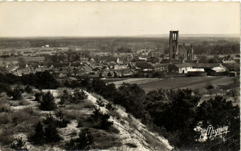 Carte postale ancienne Larchant Vue générale à Larchant