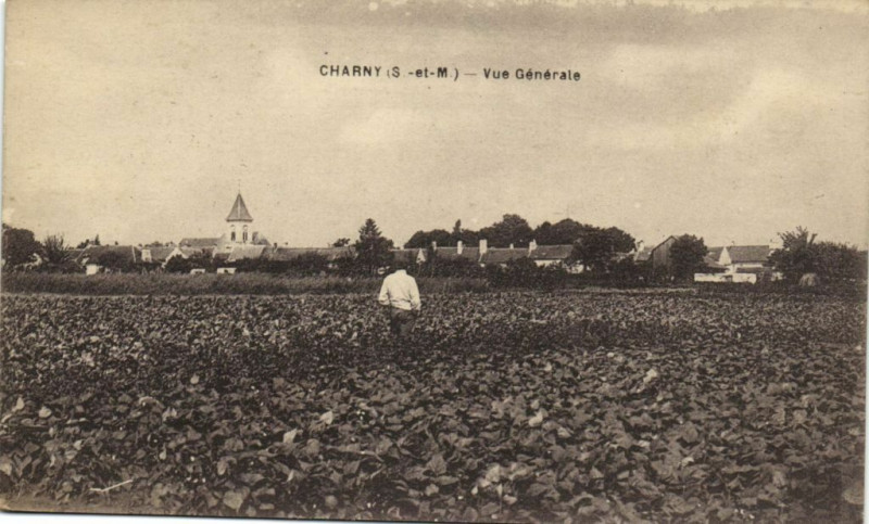 Carte postale ancienne Charny Vue générale à Charny