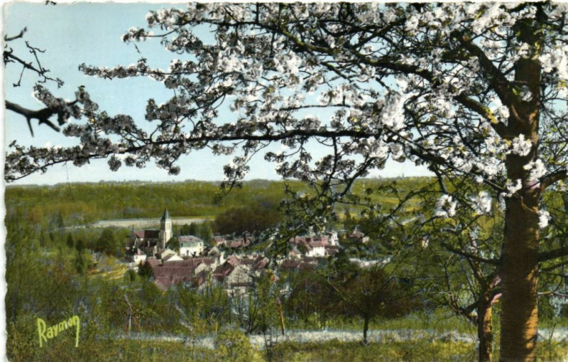 Carte postale ancienne Images de France Guerard Vue générale à Guérard
