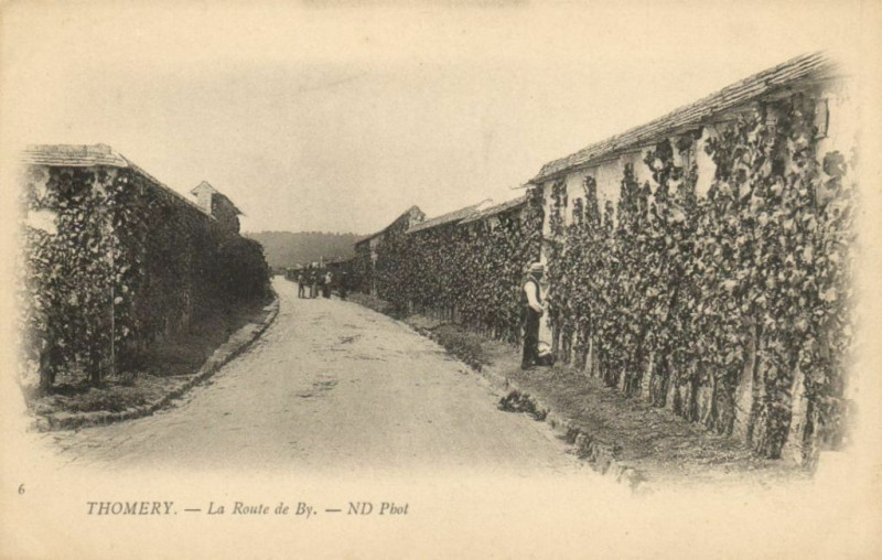 Carte postale ancienne Thomery - La Route de By à Thomery
