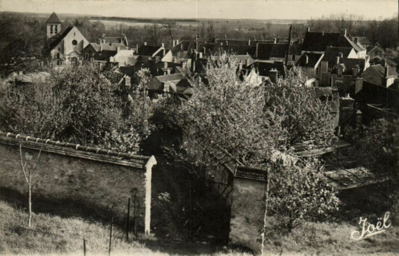 Carte postale ancienne Montigny - Loing Vue générale