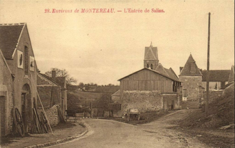 Carte postale ancienne Env. de Montreau - L'Entrée de Salins. à Salins