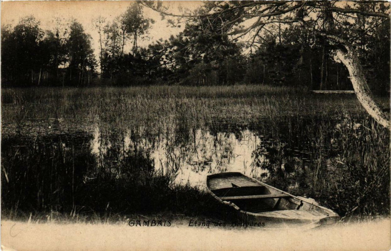 Carte postale ancienne Gambais Etanq des Bruyeres à Gambais