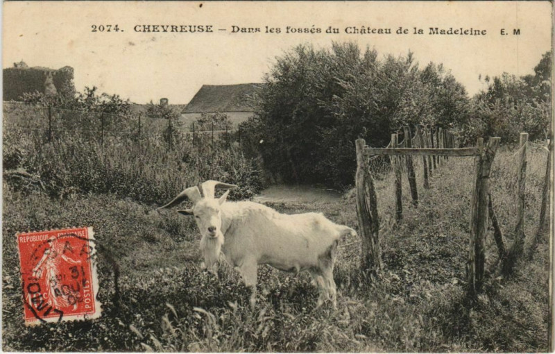 Carte postale ancienne Chevreuse Dans les fossés du Chateau à Chevreuse