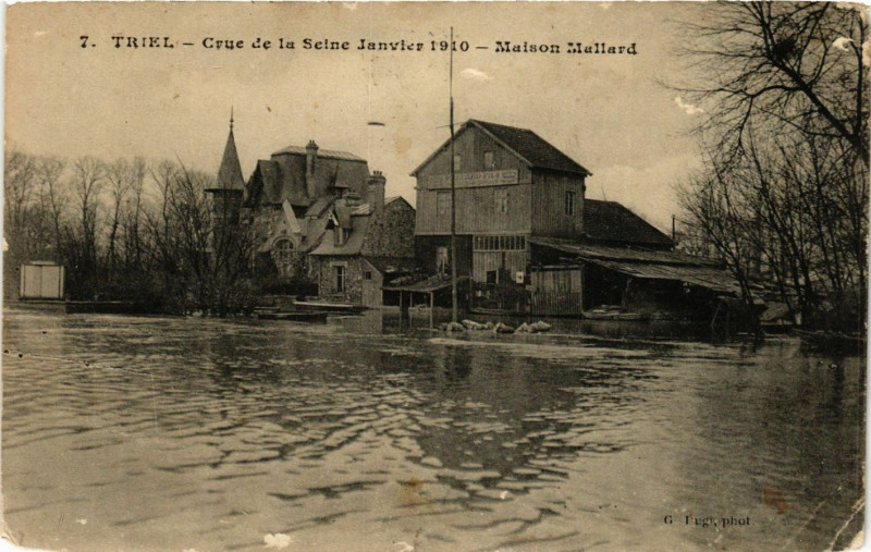 Carte postale ancienne Triel - Crue de la Seine Janvier 1910 - Maison Maliard