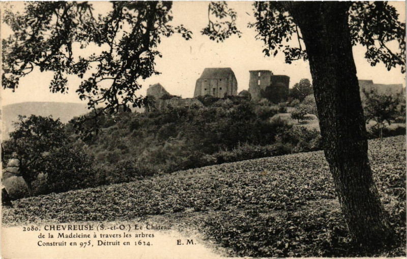 Carte postale ancienne Chevreuse - Le Chateau de la Madeleine a travers les à Chevreuse