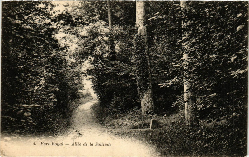 Carte postale ancienne Port-Royal - Allée de la Solitude