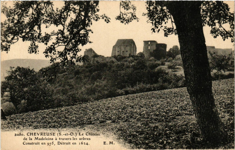 Carte postale ancienne Chevreuse - Le Chateau de la Madeleine a travers les... à Chevreuse