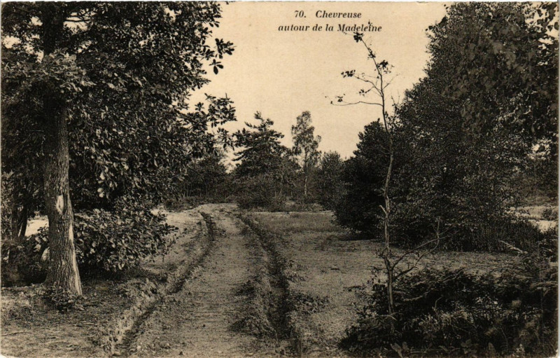 Carte postale ancienne Chevreuse autour de la Madeleine à Chevreuse