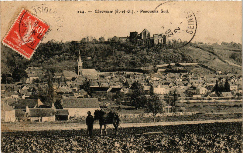 Carte postale ancienne Chevreuse - Panorama Sud à Chevreuse