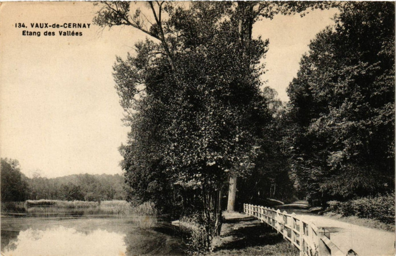 Carte postale ancienne Vaux-de-Cernay - Etang des Vallées
