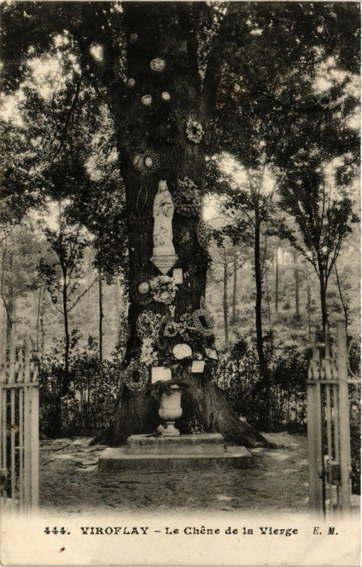 Carte postale ancienne Viroflay - La Chene de la Vierge à Viroflay