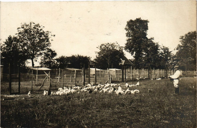 Carte postale ancienne Carte photo Buthon - La Ferme