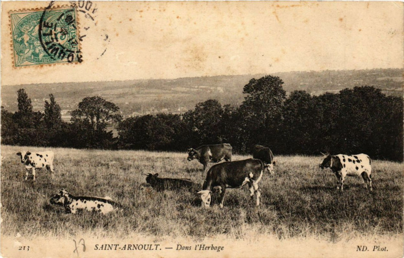 Carte postale ancienne Saint-Arnoult - Dans l'Herbage