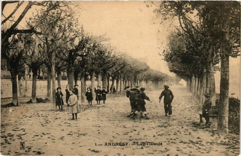 Carte postale ancienne Andresy - Les Tilleuis à Andrésy