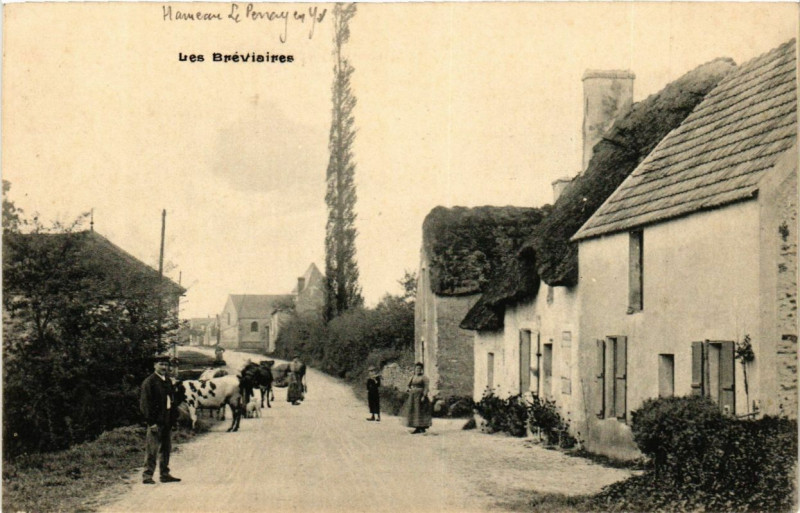 Carte postale ancienne Les Brevisiers