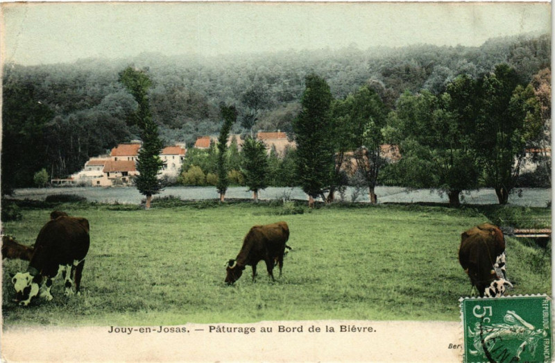 Carte postale ancienne Jouy-en-Josas - Paturage au Bord de la Bievre à Jouy-en-Josas