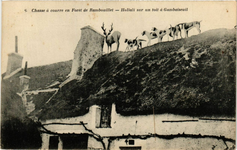 Carte postale ancienne Chasse a courre en Foret de Rambouillet - Halali sur un toit a à Rambouillet