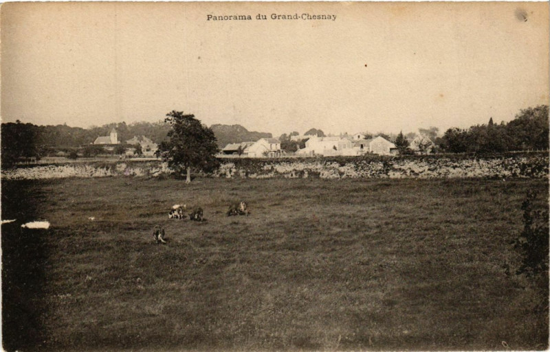 Carte postale ancienne Panorama du Grand-Chesnay