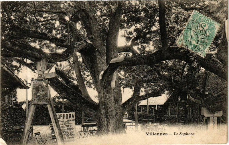 Carte postale ancienne Villennes - Le Spphora