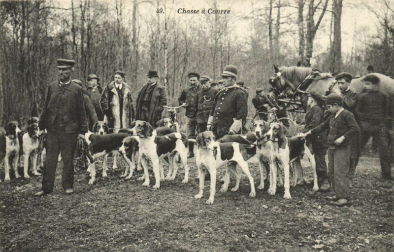 Carte postale ancienne Chasse a courre